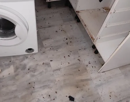 MG Mantenimientos Desatascos y Control de Plagas, S.L. – desatascos en Sevilla