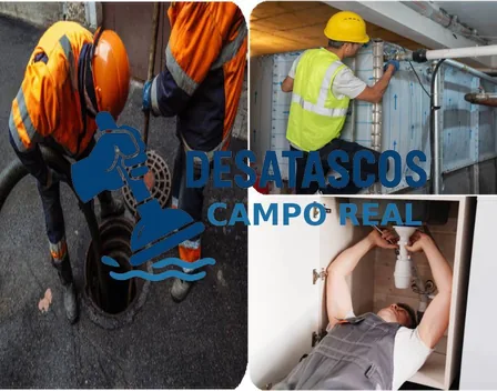 VegaSanea Desatascos Campo Real – desatascos en Campo Real